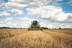 Société agricole : Le guide des statuts juridiques