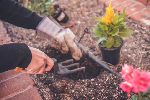 Devenir jardinier : formation, statut juridique et formalités